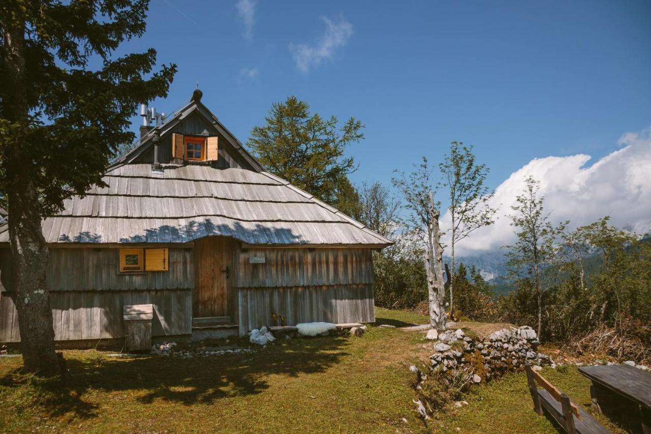 Chalet Orlica Velika Planina Stahovica Bagian luar foto