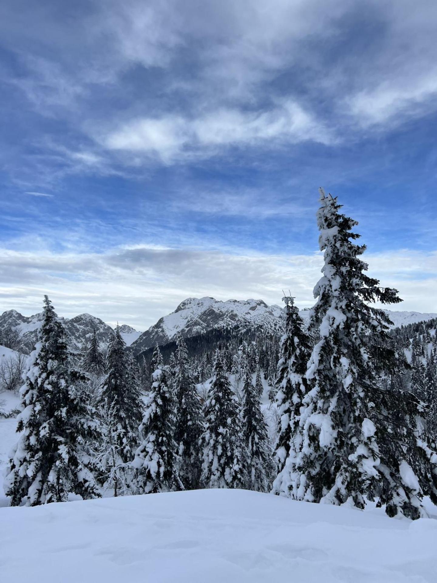 Chalet Orlica Velika Planina Stahovica Bagian luar foto